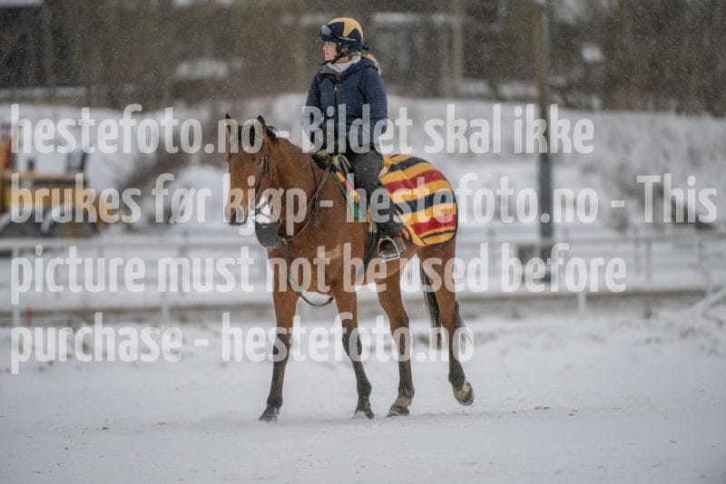 20260207-124422-DSC_3799