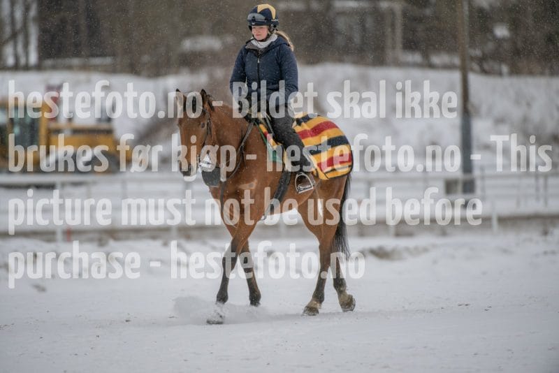 20260207-124423-DSC_3809