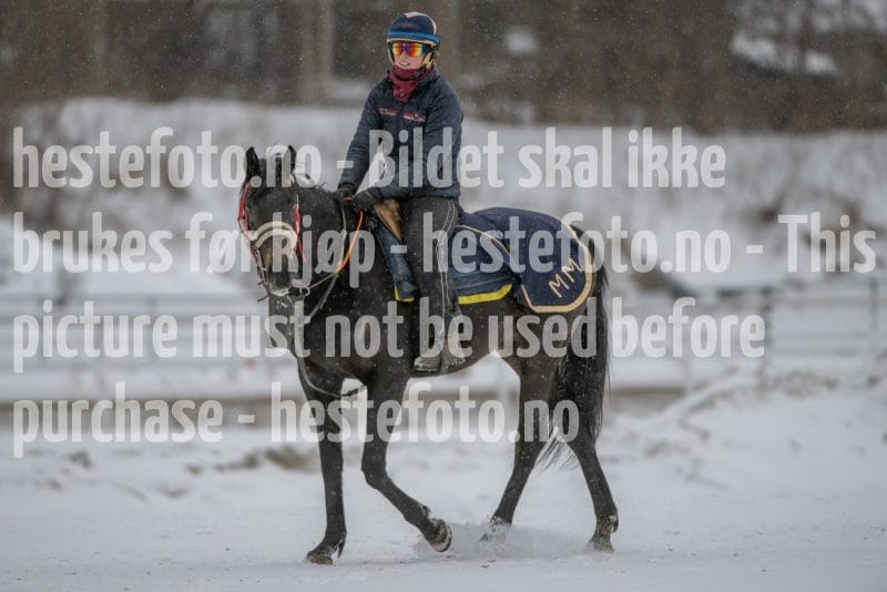 20260207-124425-DSC_3821