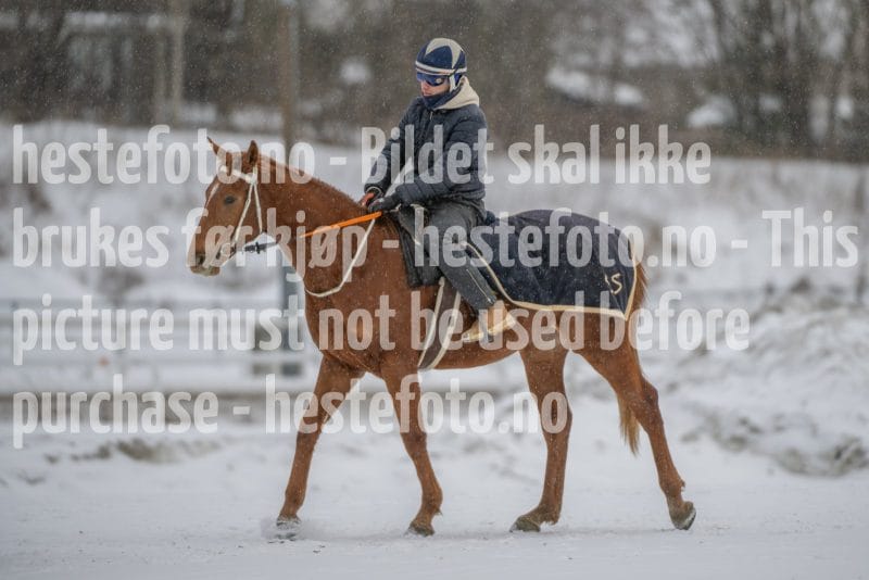 20260207-124428-DSC_3846