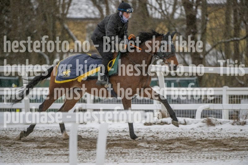 20260207-124457-DSC_3895