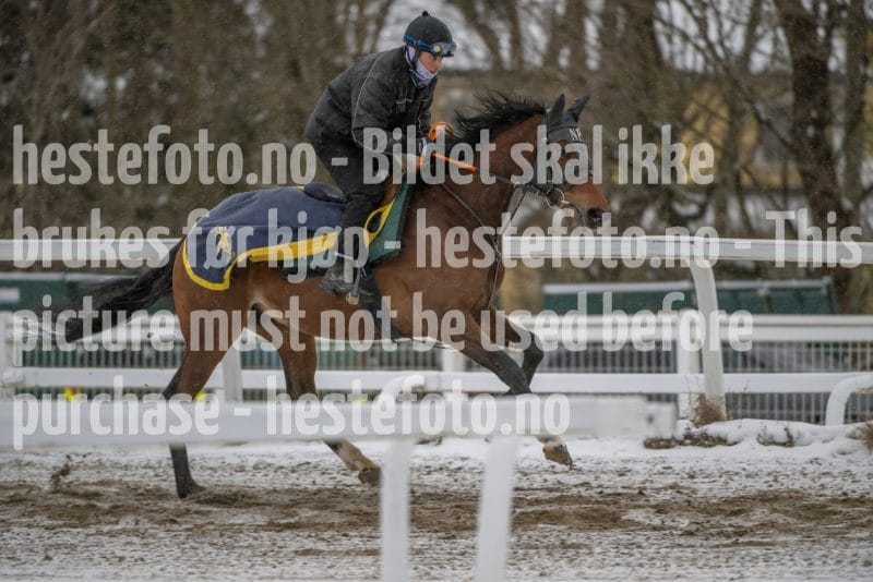 20260207-124457-DSC_3893