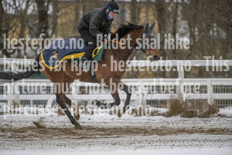 20260207-124458-DSC_3901