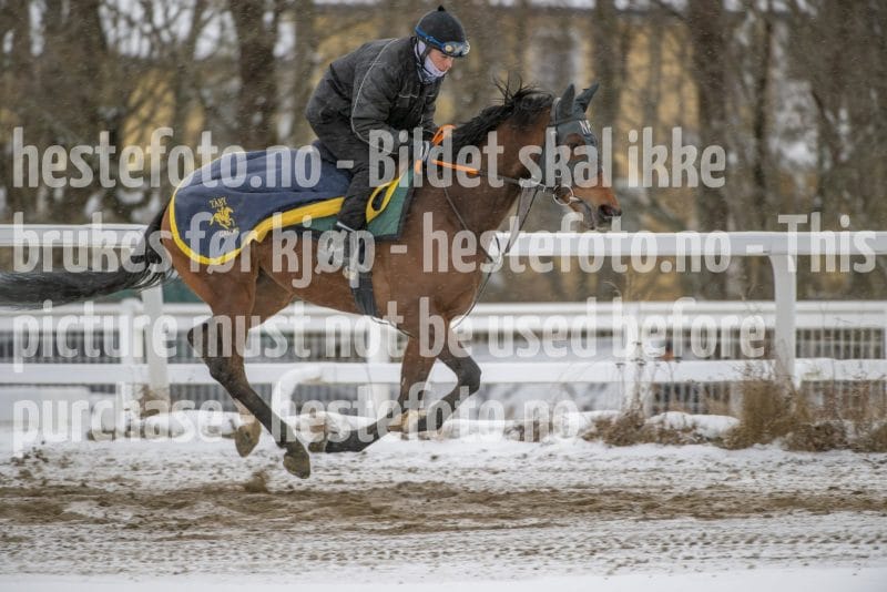 20260207-124457-DSC_3900