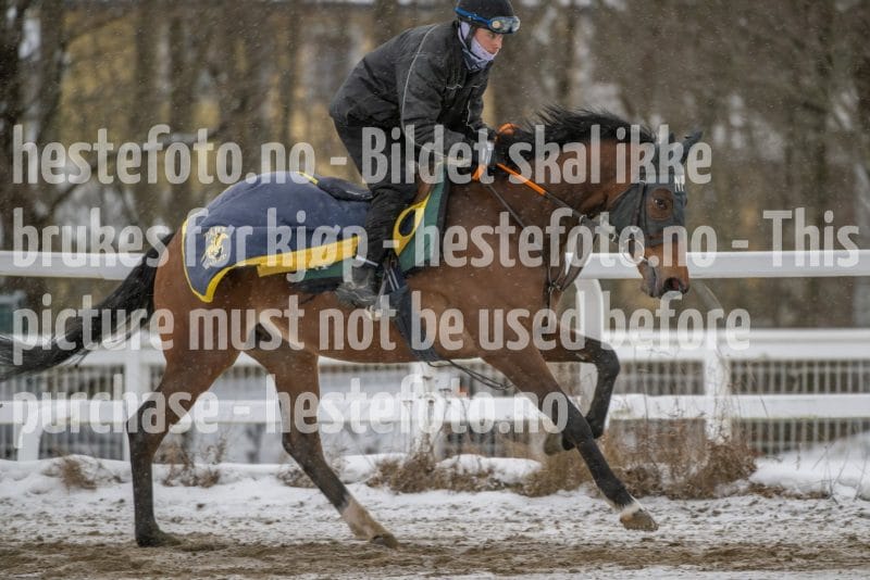 20260207-124458-DSC_3903