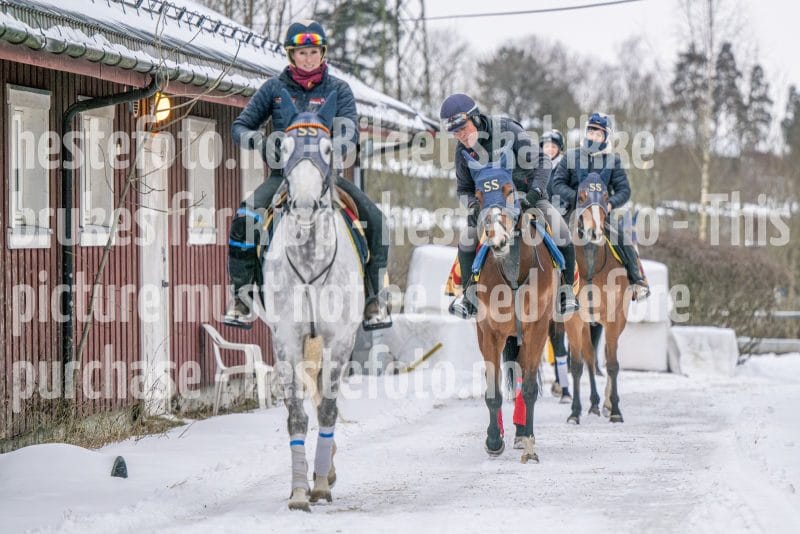 20260207-100054-DSC_2067