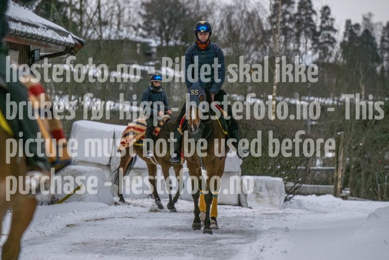 20260207-100110-DSC_2128