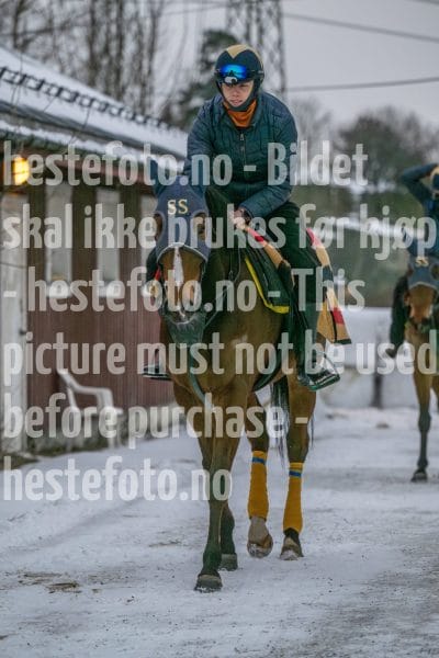 20260207-100120-DSC_2183