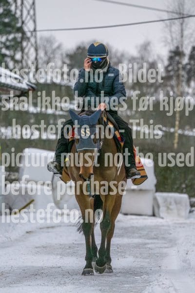 20260207-100124-DSC_2207