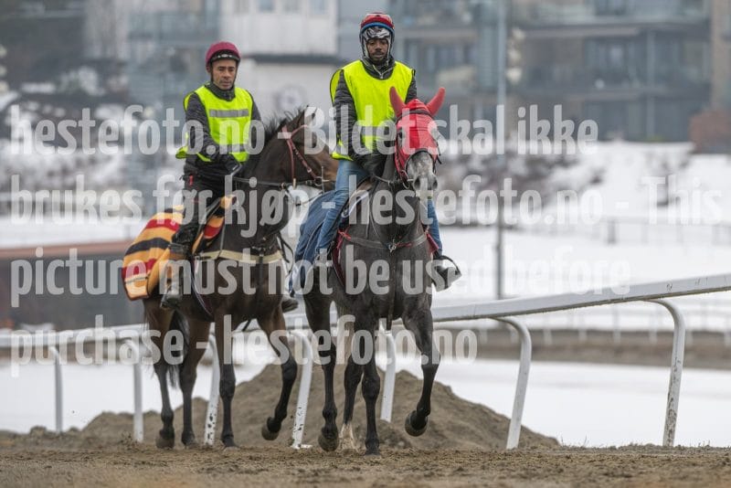 20260307-103042-DSC_4245