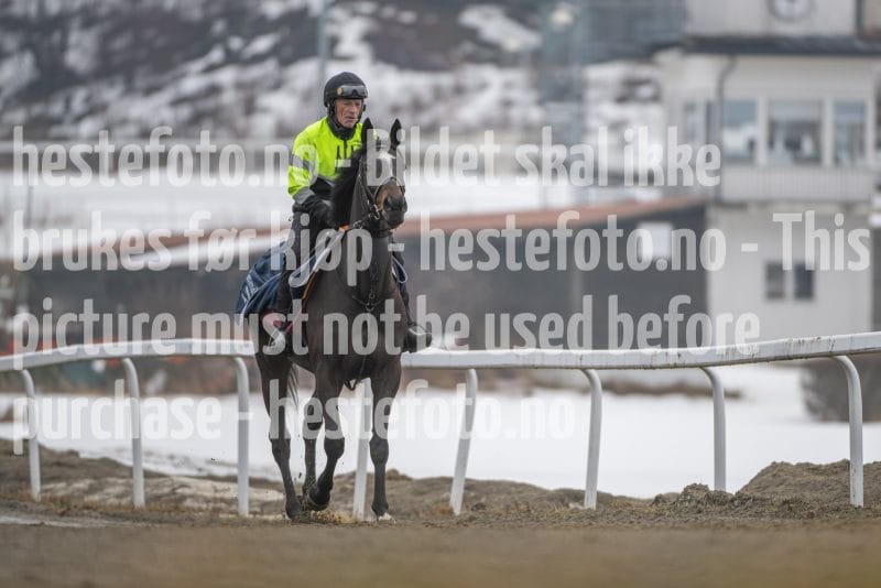 20260307-102943-DSC_4144