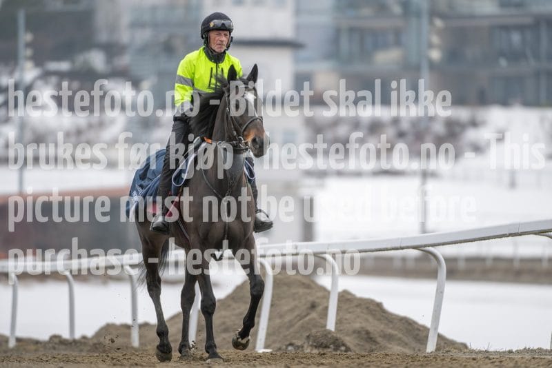 20260307-103106-DSC_4301