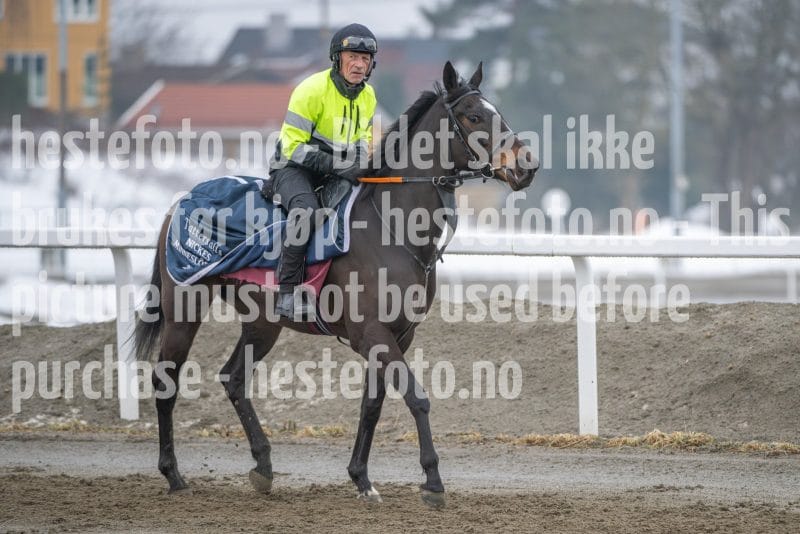 20260307-103357-DSC_4503