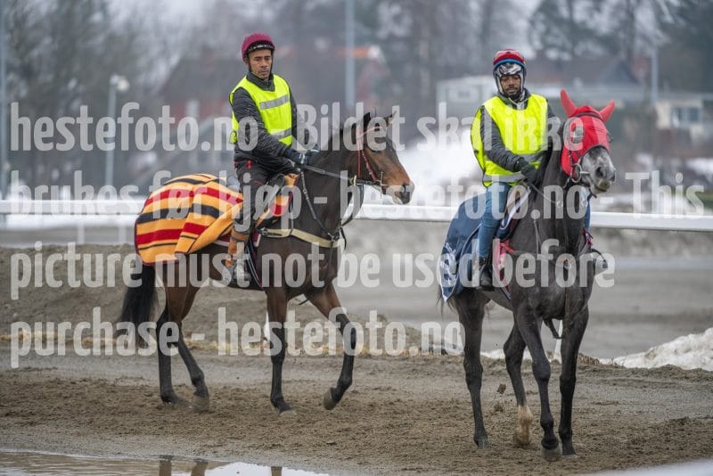 20260307-103326-DSC_4429