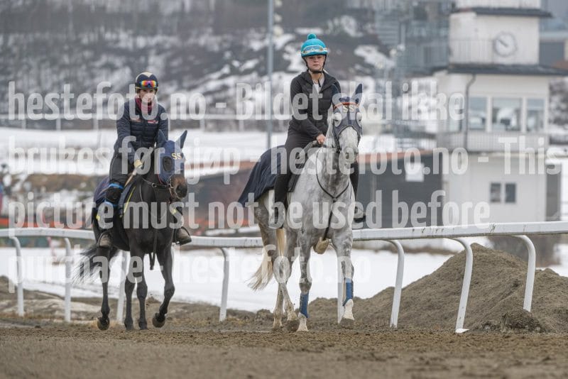 20260307-105127-DSC_4860