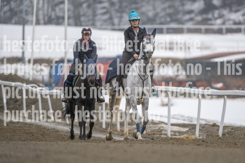 20260307-105246-DSC_4893