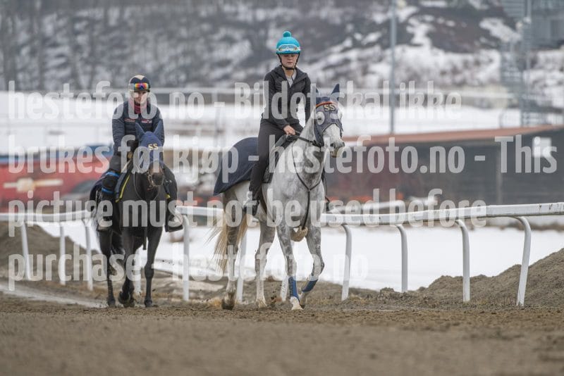 20260307-105125-DSC_4856