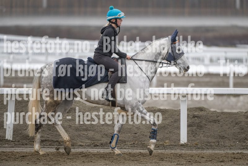 20260307-105658-DSC_4993