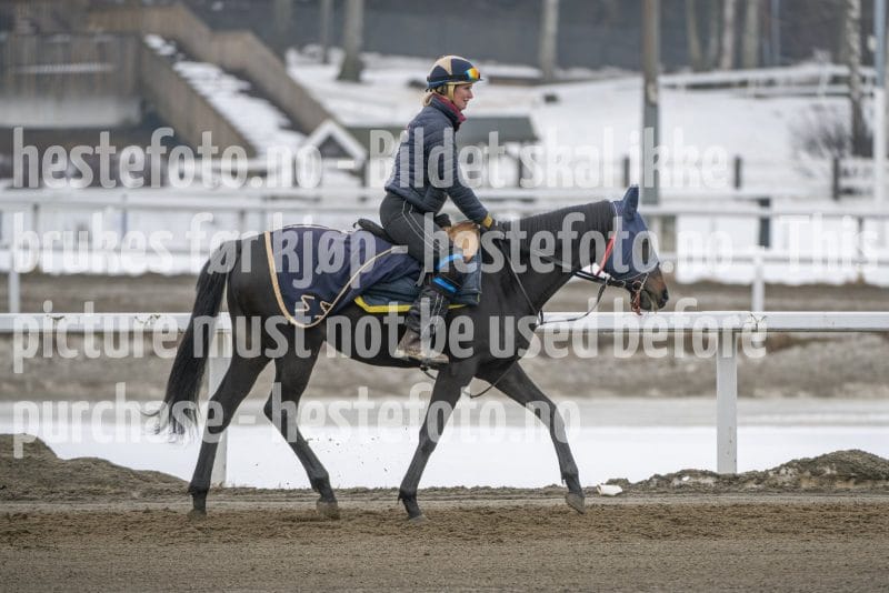 20260307-105701-DSC_5009