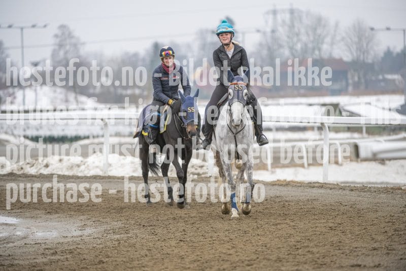 20260307-105725-DSC_5052