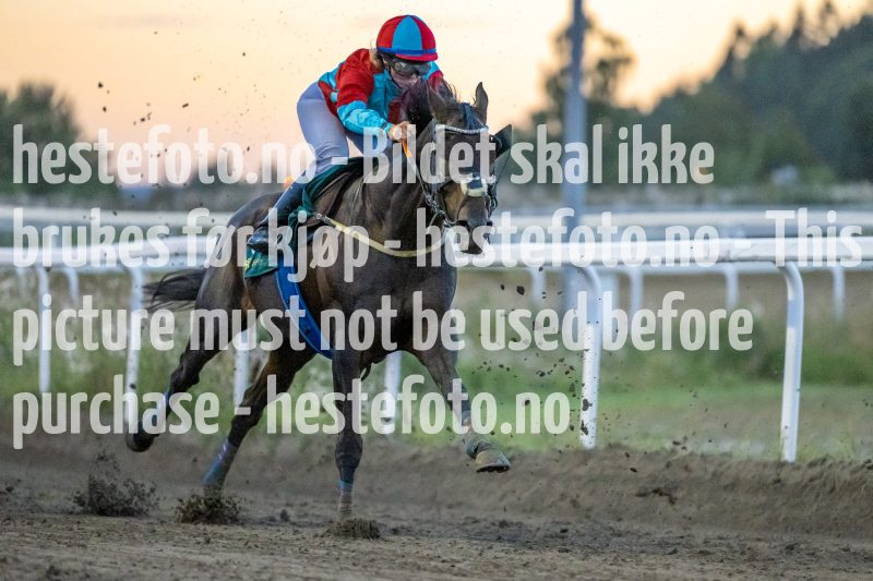 20220901-202351-DSC_3113