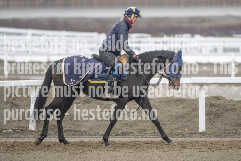 20260307-110051-DSC_5103