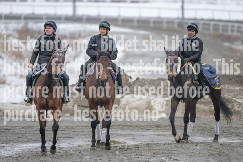 20260307-110506-DSC_5278