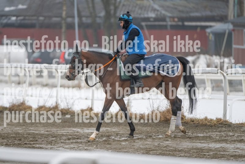 20260307-110745-DSC_5462