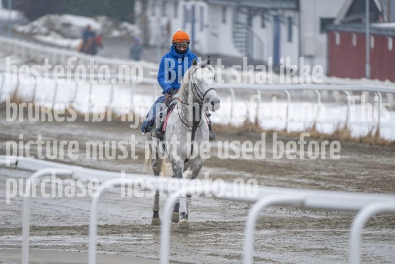 20260307-110812-DSC_5539