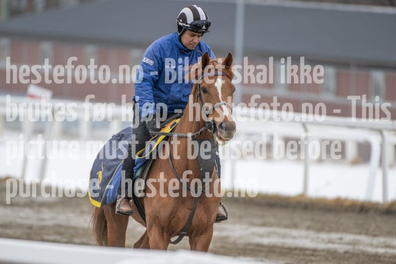 20260307-111331-DSC_5996