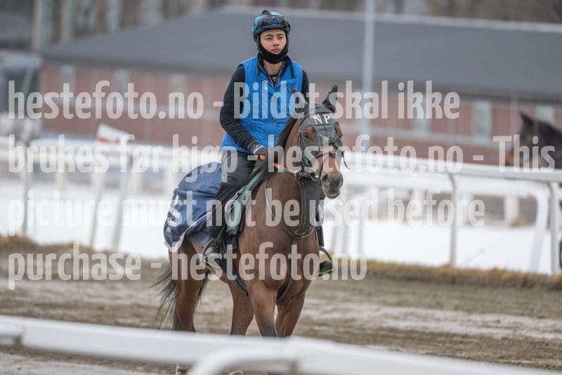 20260307-111333-DSC_6015