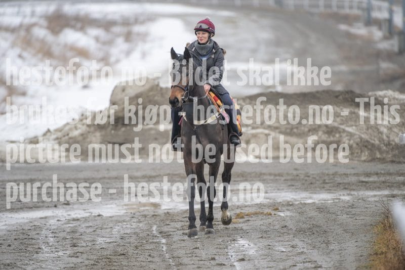 20260307-111358-DSC_6155