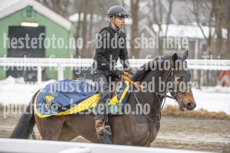 20260307-111343-DSC_6099