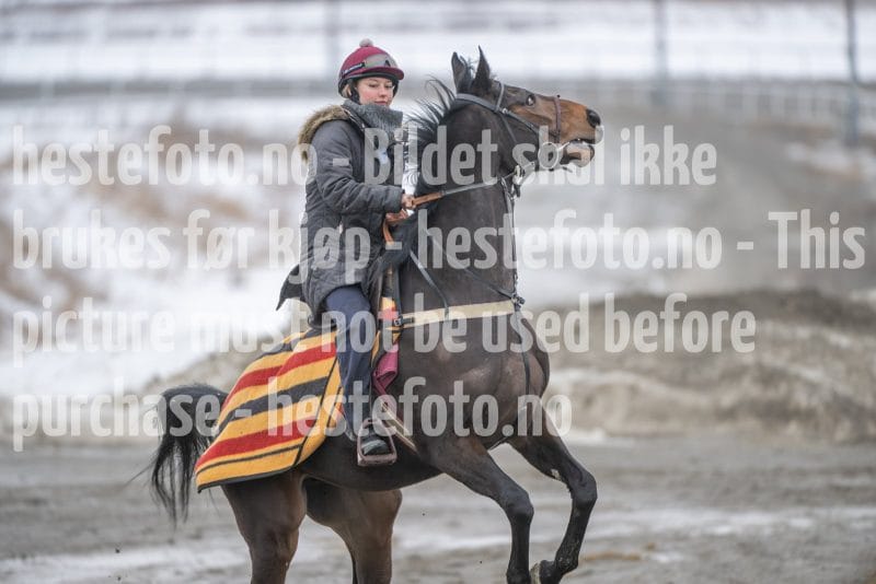 20260307-111405-DSC_6176