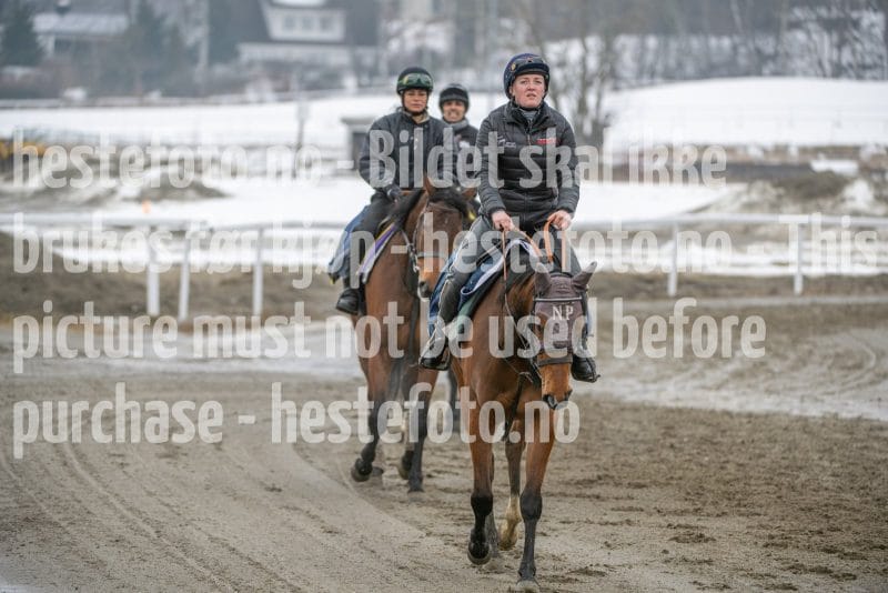 20260307-111517-DSC_6318