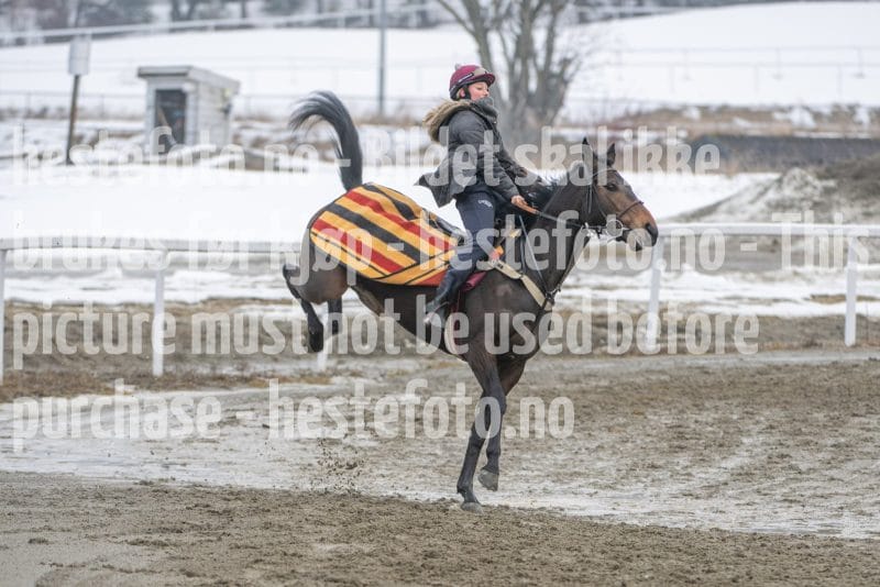 20260307-112128-DSC_6397