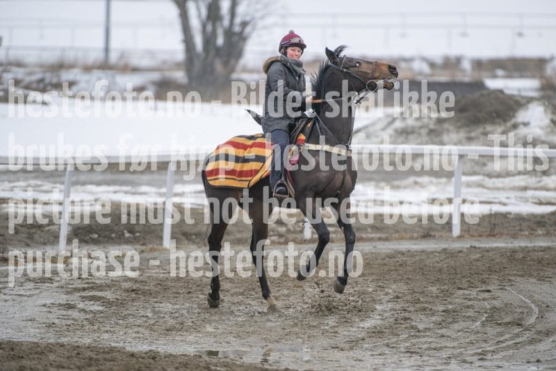 20260307-112126-DSC_6358