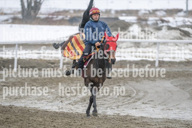 20260307-112140-DSC_6524