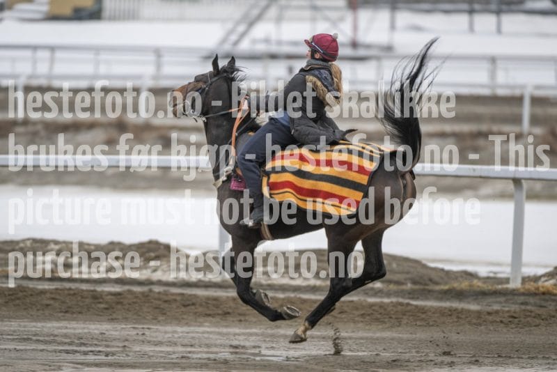 20260307-112215-DSC_6619