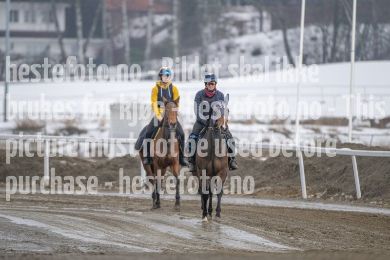 20260307-132118-DSC_6764