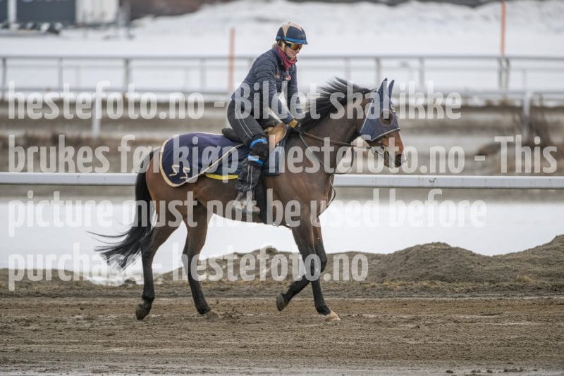 20260307-132536-DSC_6941