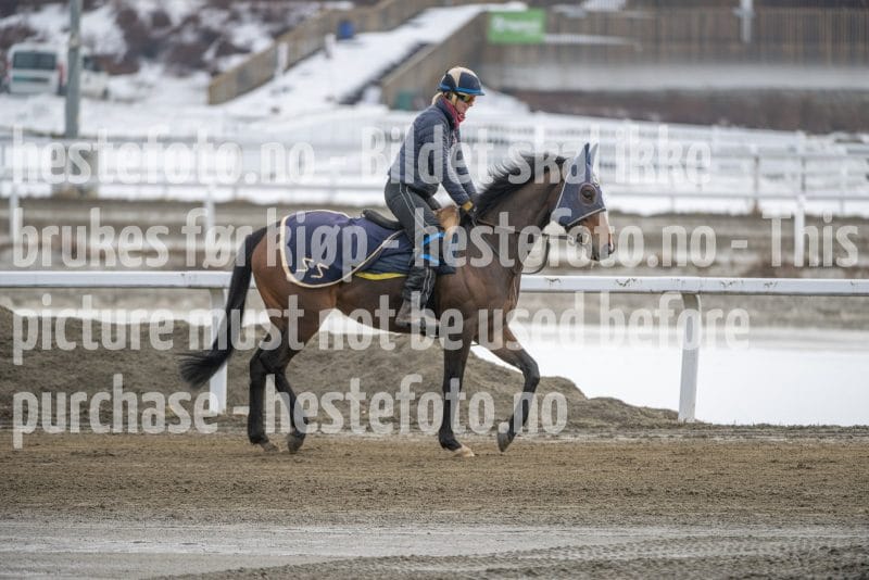 20260307-132539-DSC_6951