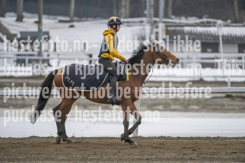 20260307-132545-DSC_6986