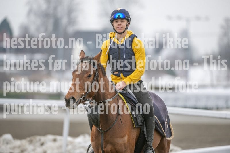 20260307-132608-DSC_7060