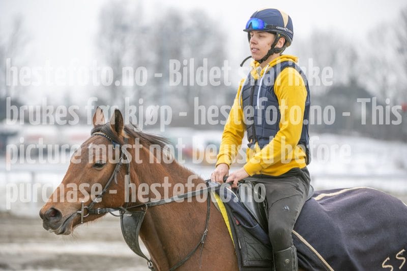 20260307-132612-DSC_7084