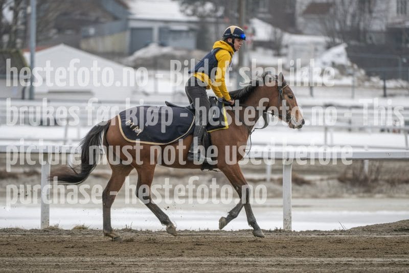 20260307-132936-DSC_7220