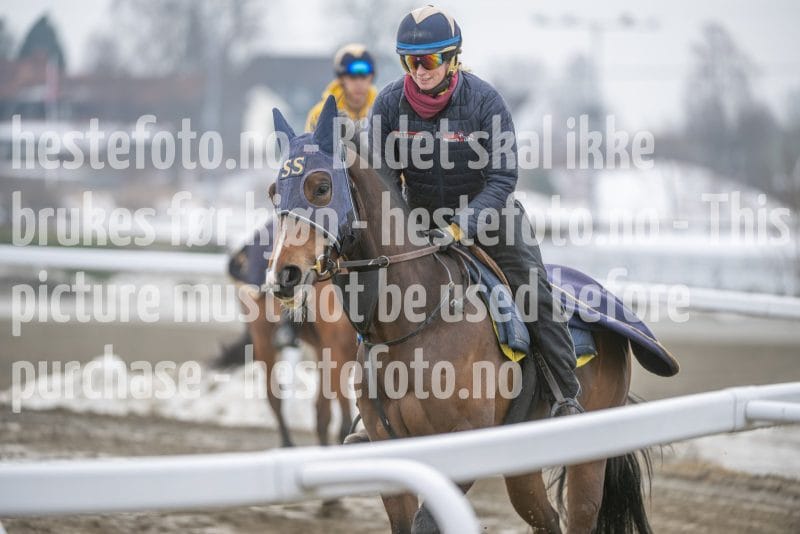 20260307-132949-DSC_7314