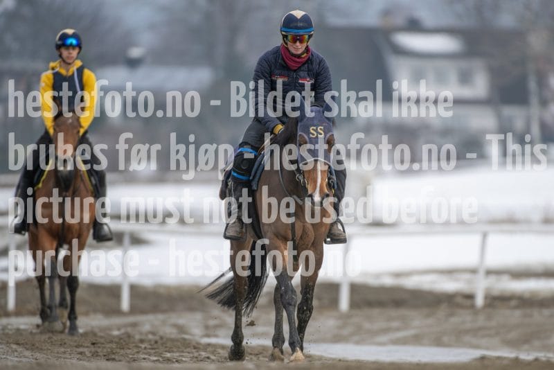 20260307-133217-DSC_7548