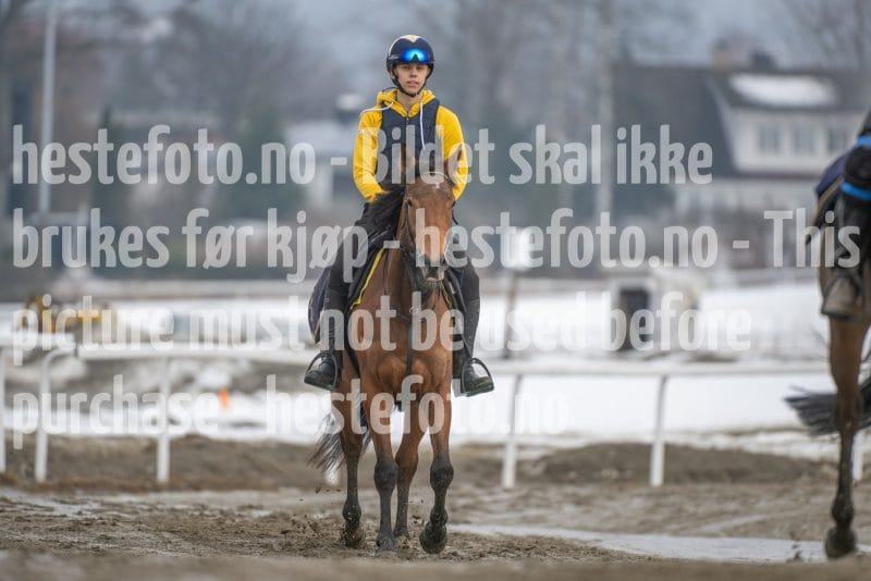 20260307-133220-DSC_7571