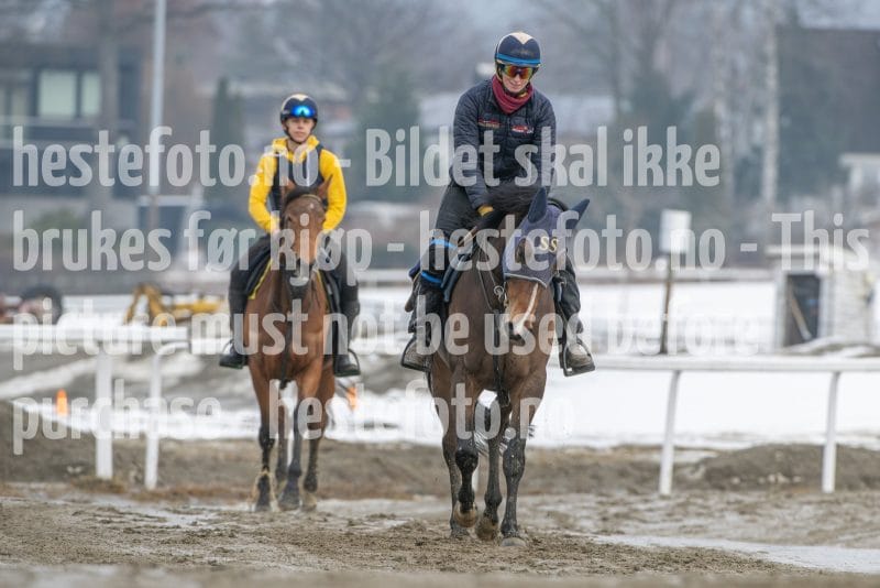 20260307-133215-DSC_7535